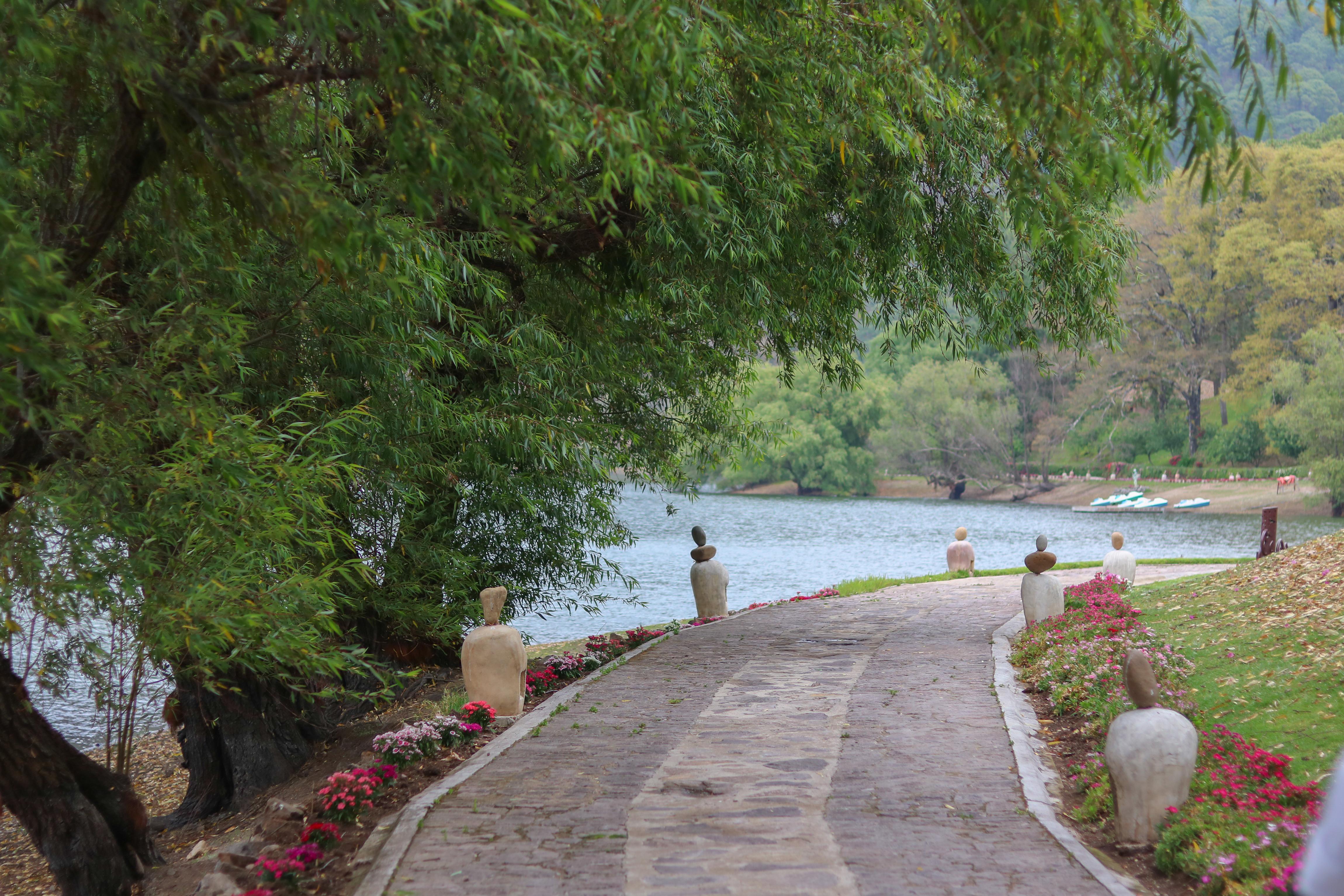Sierra La Laguna