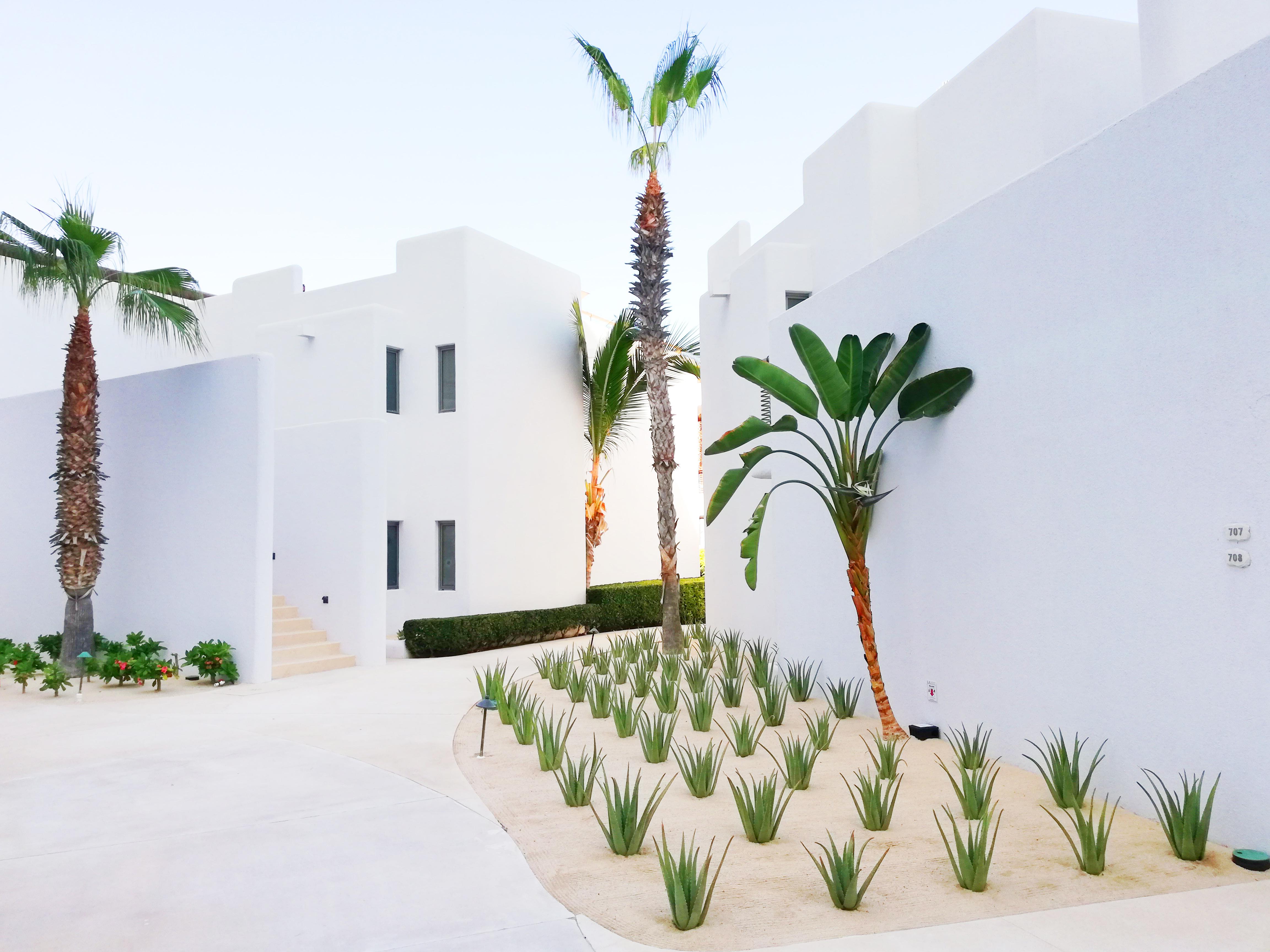 Marquis Cabos, An - Inclusive, Adults - Only & No Timeshare Resort