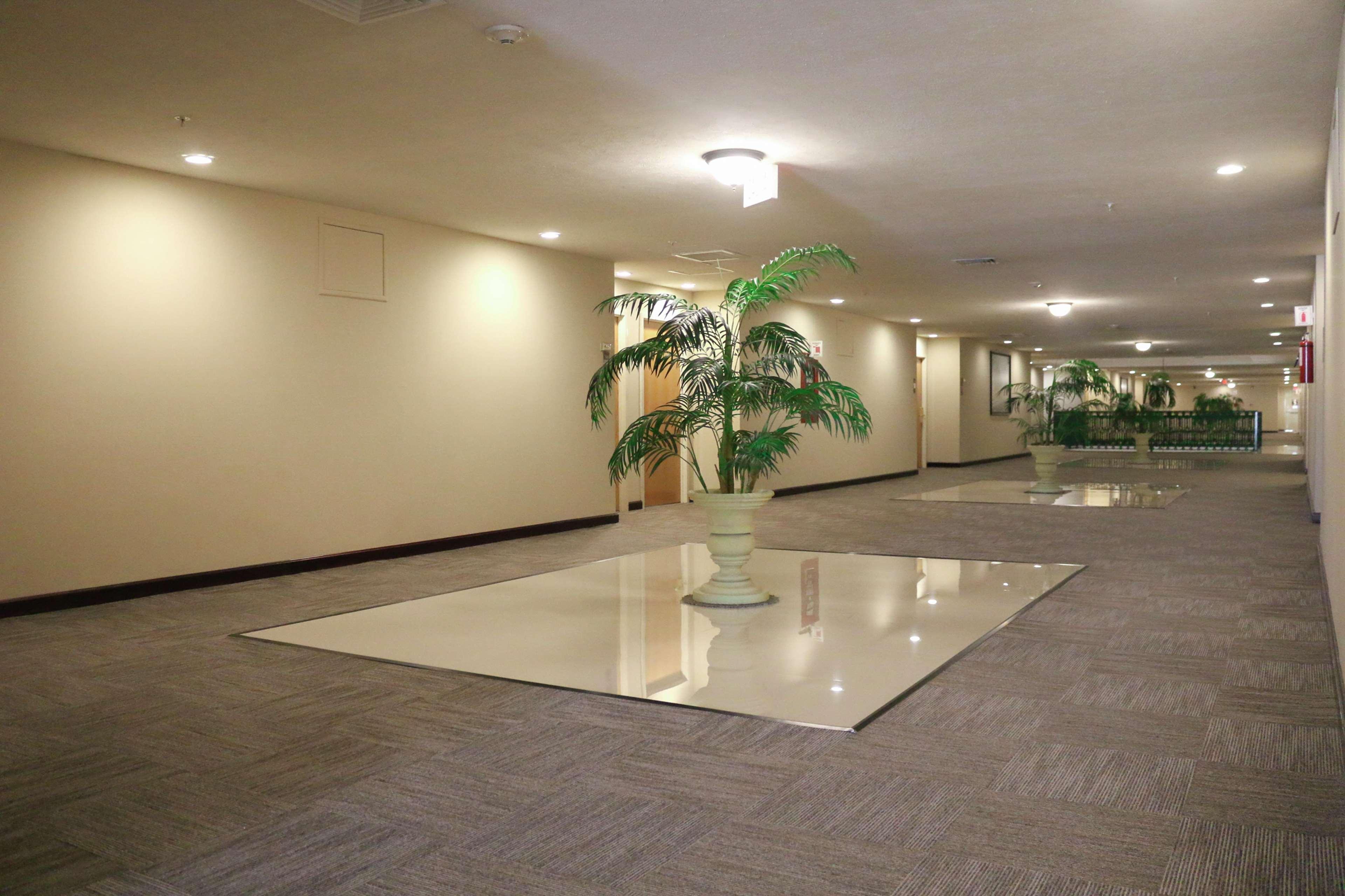 Hampton Zona Dorada Tampico