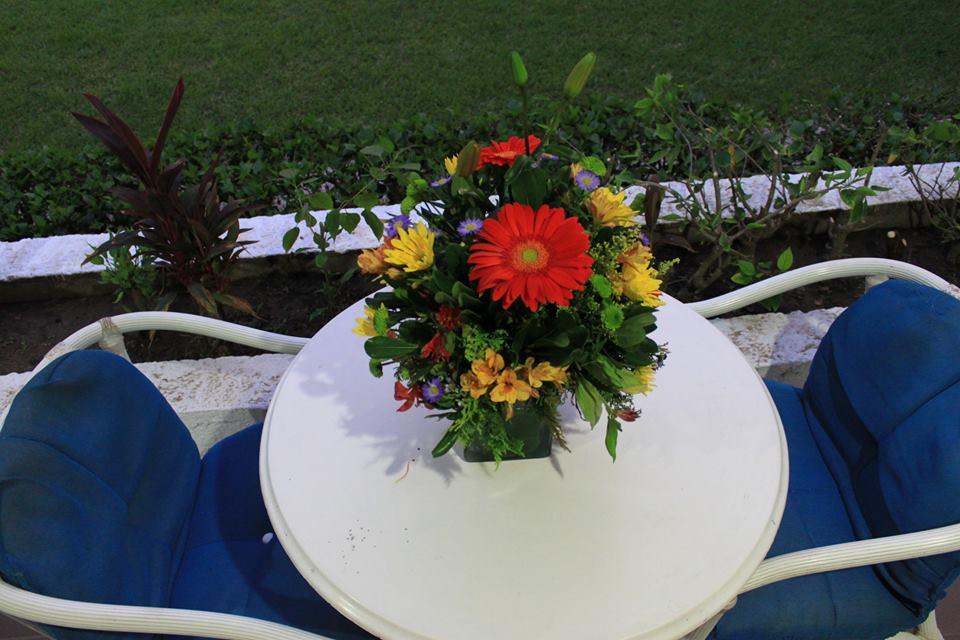 Coral Ixtapa 3*