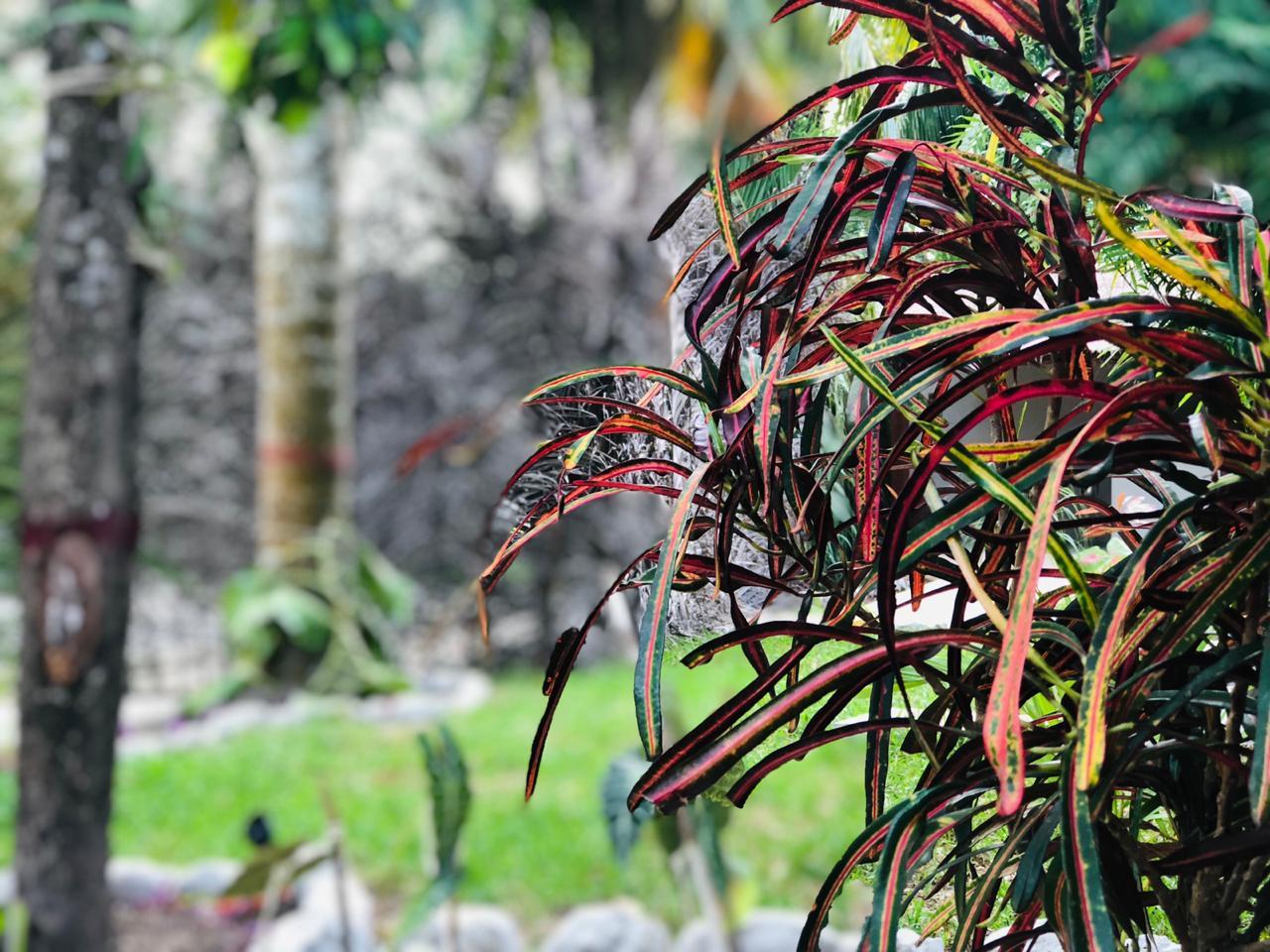 Hotel Tierra Maya & Sanctuary 3*