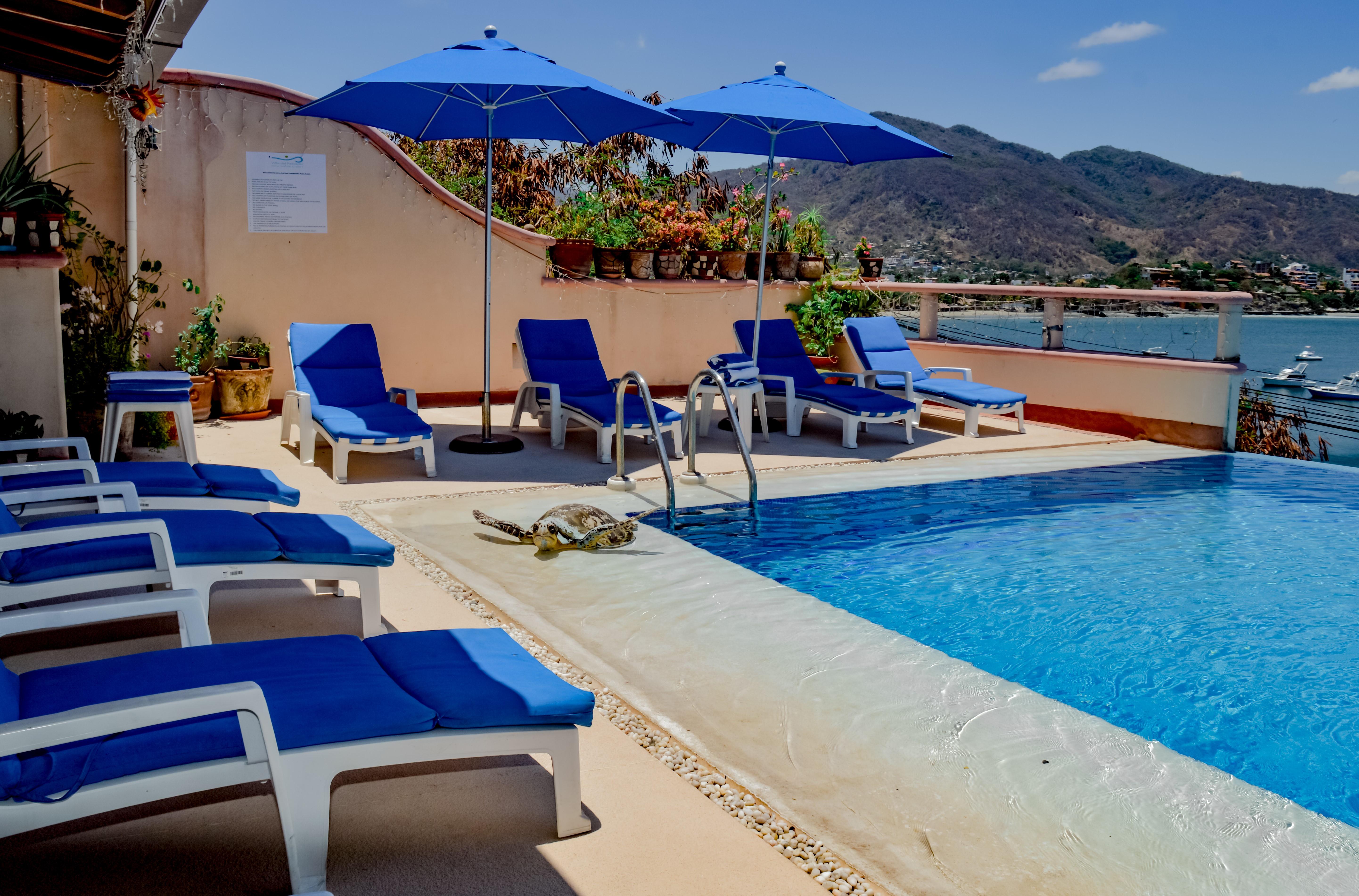 Del Pescador 4*