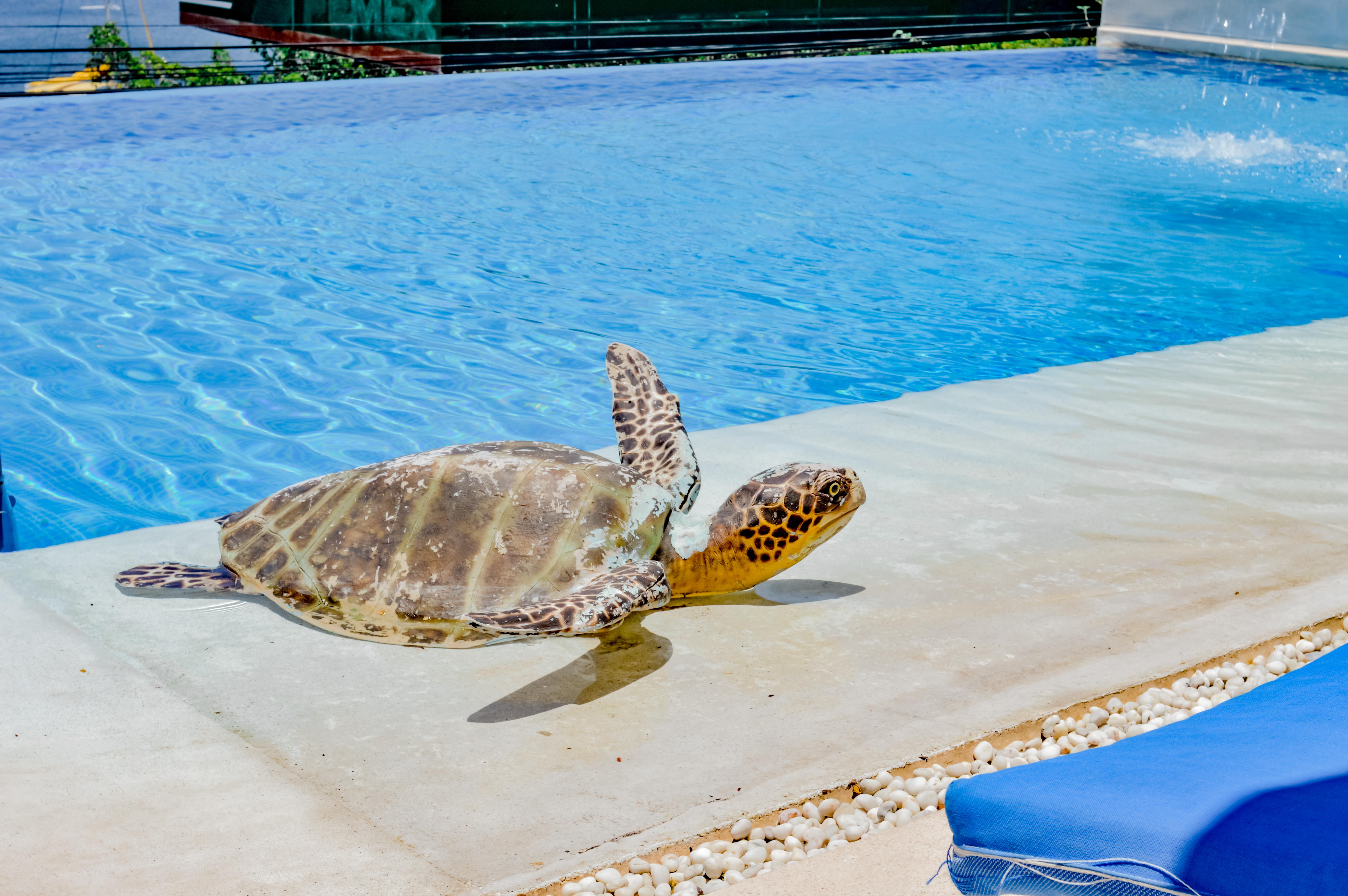 Del Pescador Hotel 4*