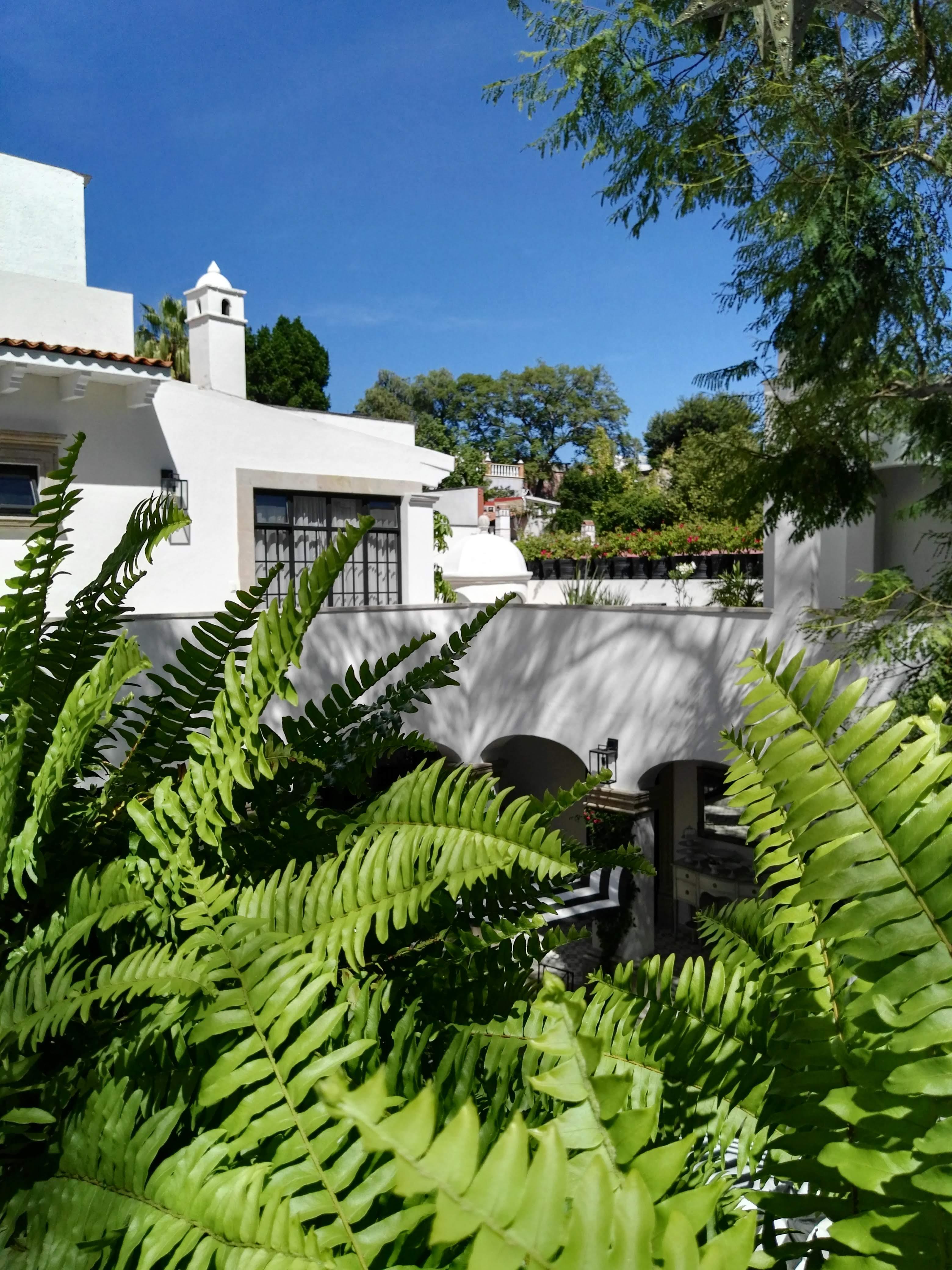 Casa Lani Luxury Bed & Breakfast San Miguel de Allende