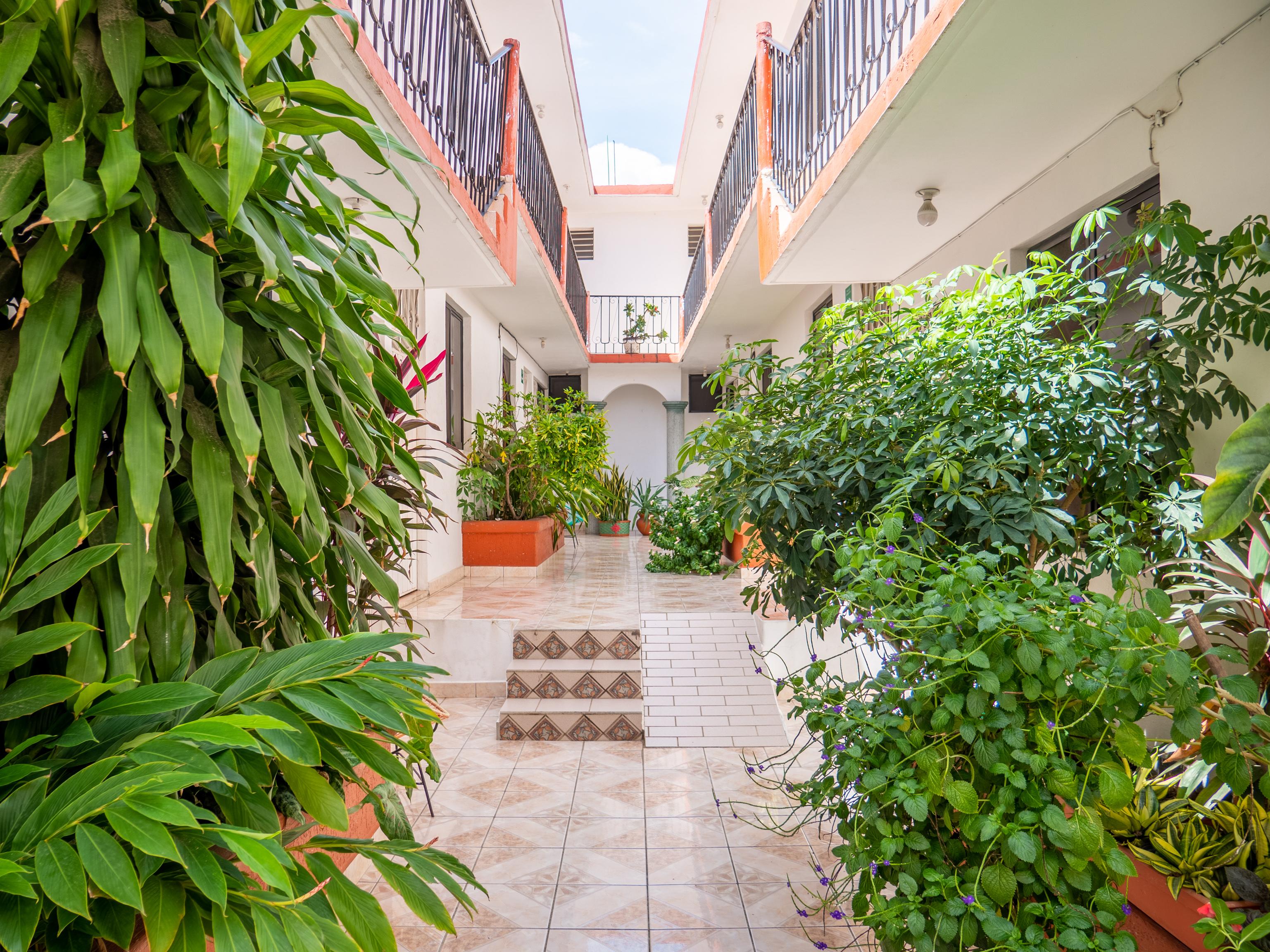 Hotel Oyo Arena Surf, 3*