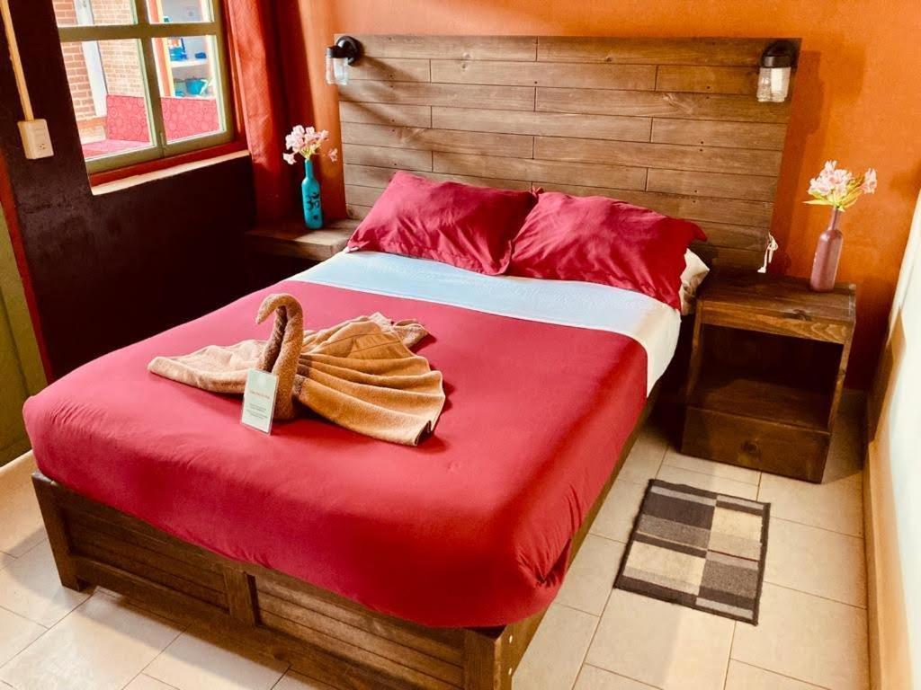 Guest house Casa Flor De Vida *
