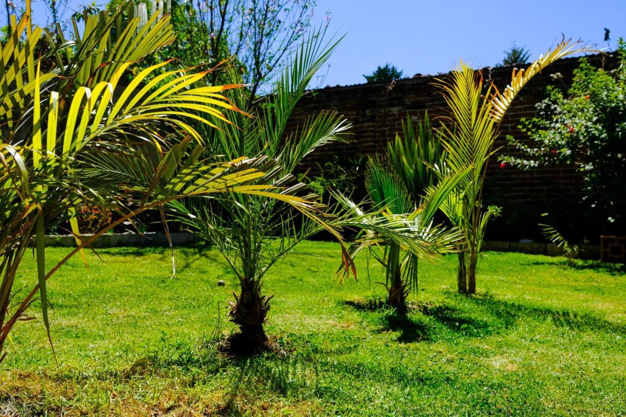 Casa Flor De Vida *