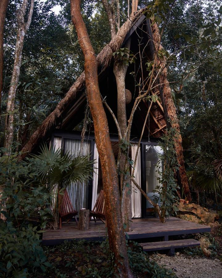 Kapok Bacalar - Plant Based Hotel Buenavista (Quintana Roo)