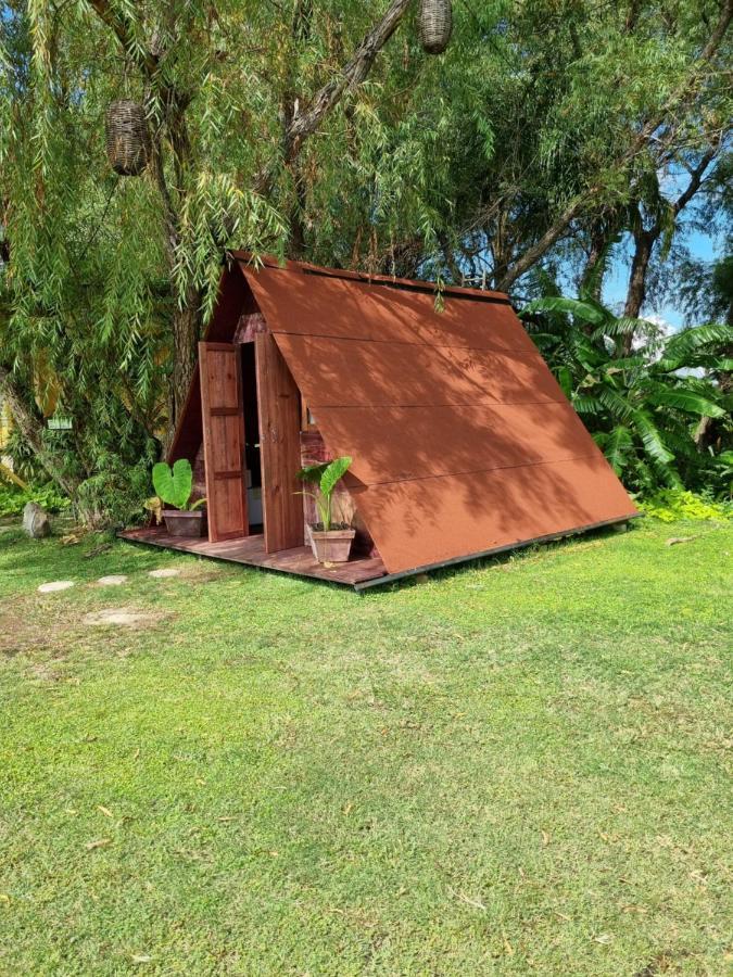 Eco Tahawi Ajijic