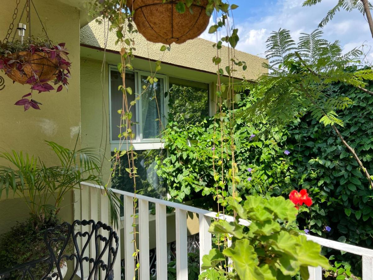 Dickinson Guest House, Guadalajara Expo 3* Guadalajara