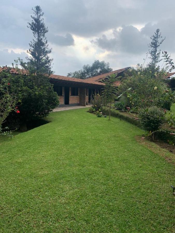 Hotel Organico Boutique