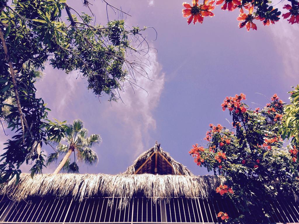 Hotel Senor Manana