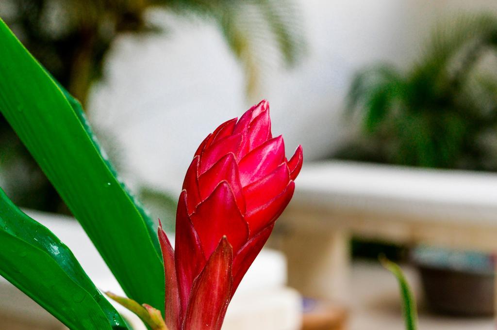 Aldea Del Bazar & 4* Puerto Escondido (Oaxaca)