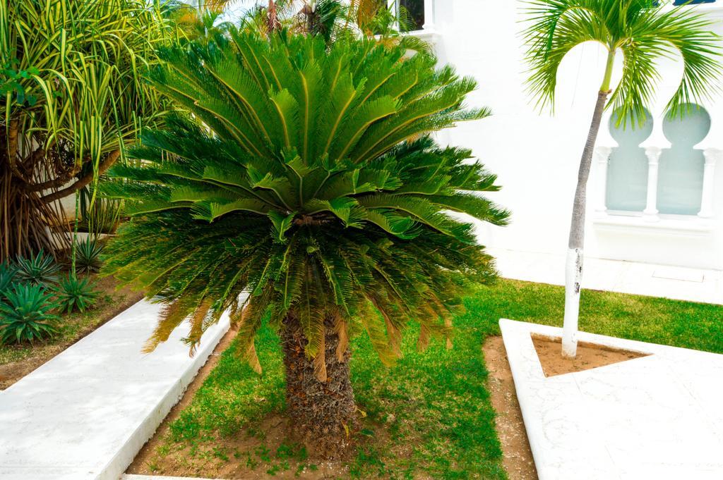 Aldea Del Bazar & Hotel