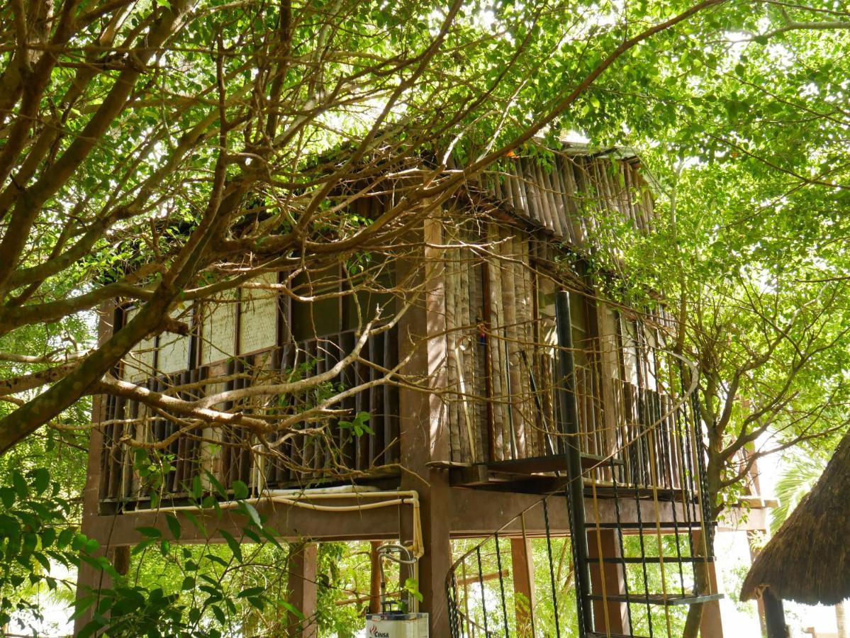 Santuario Front Oasis *