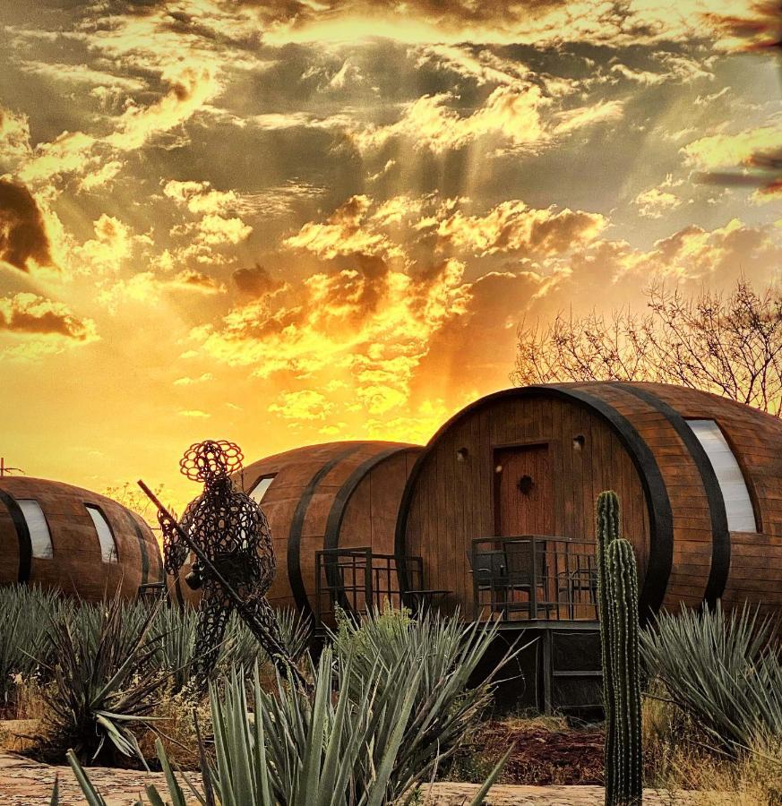 Matices De Barricas Hotel Tequila