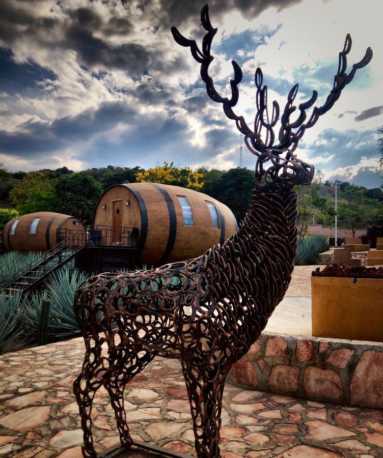 Matices De Barricas Hotel Tequila