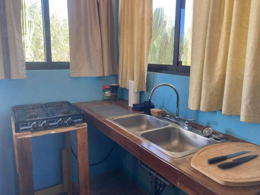 Cardon Alley #1 - 1st Floor Apartment La Paz