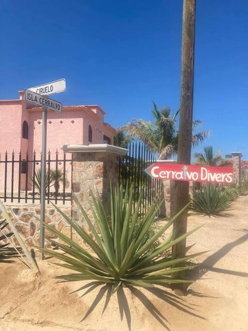 Cardon Alley #1 - 1st Floor * La Paz