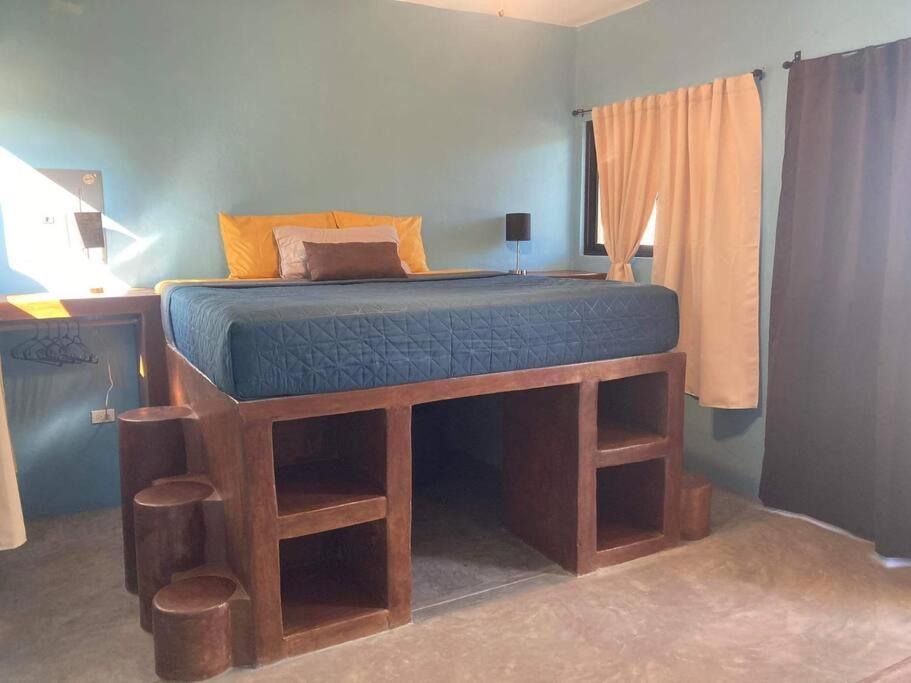 Apartment Cardon Alley #1 - 1st Floor La Paz