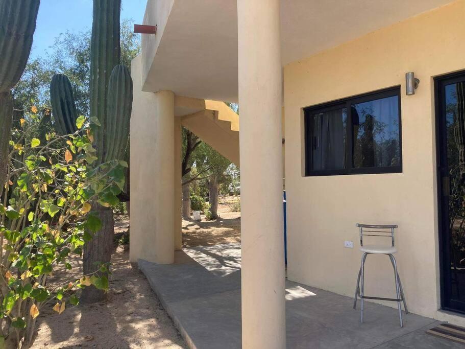 Apartment Cardon Alley #1 - 1st Floor *