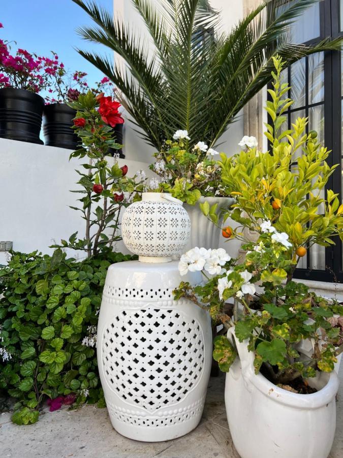 Bed & Breakfast Casa Lani Luxury San Miguel de Allende