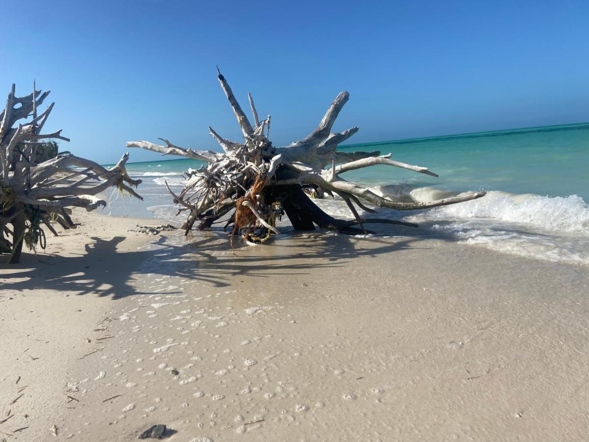 Laisla * Isla Holbox