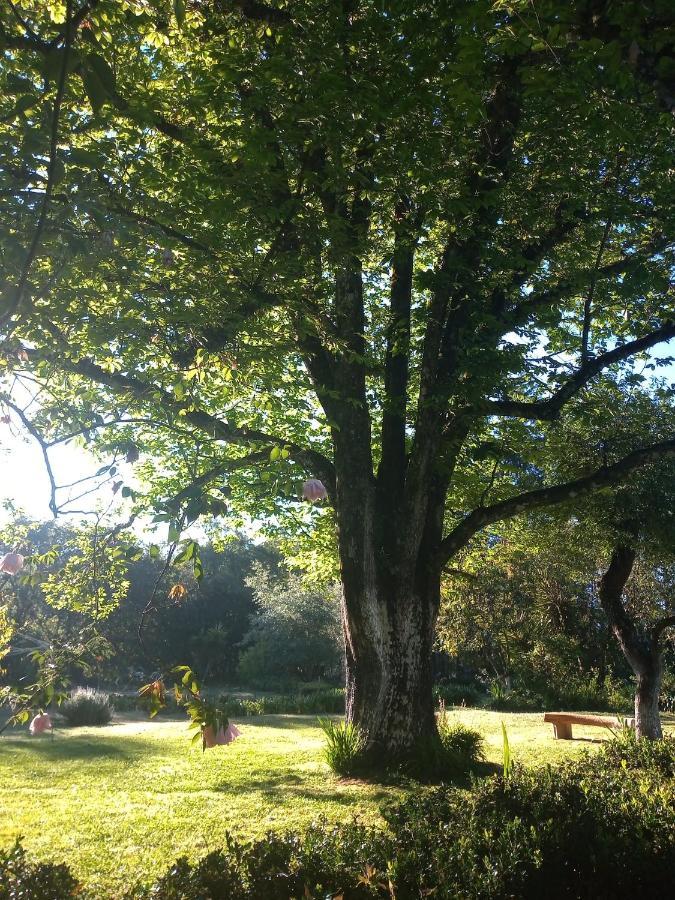Rancho Coyotepec *