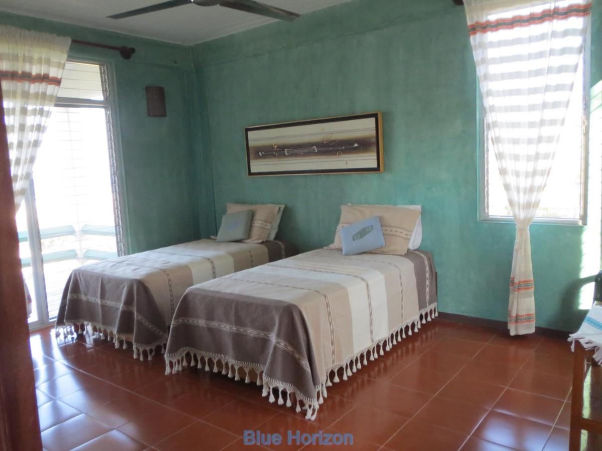 Casa Guadalupe - Big Oasis! *