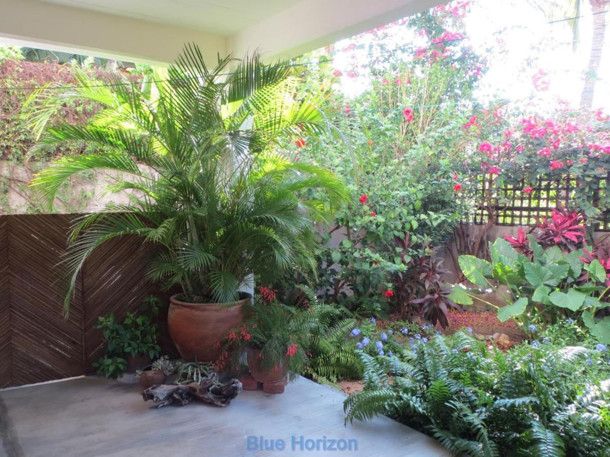 Casa Guadalupe - Big Oasis!