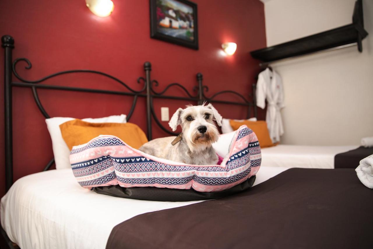 Hotel Plaza Poblana Puebla
