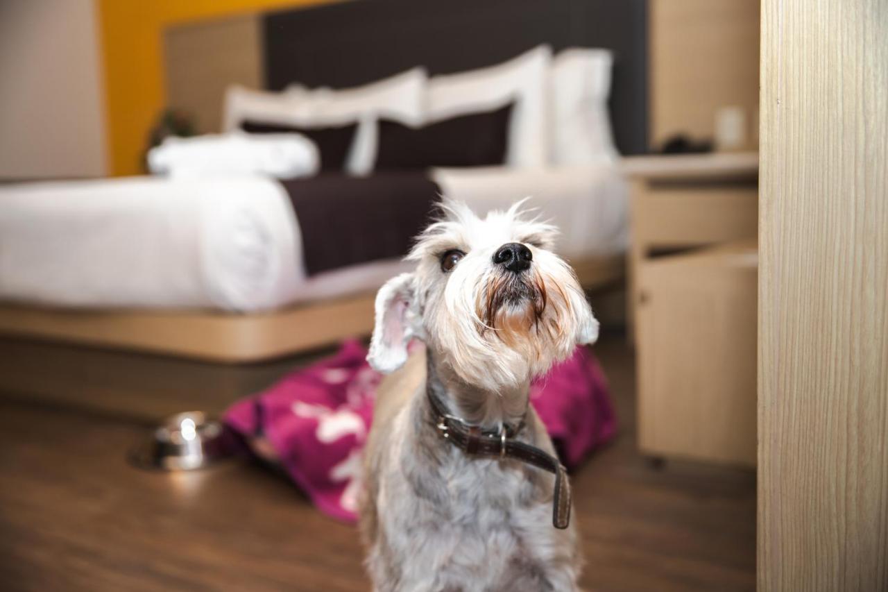 Plaza Poblana Hotel 4*