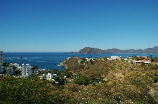 Angeles Manzanillo