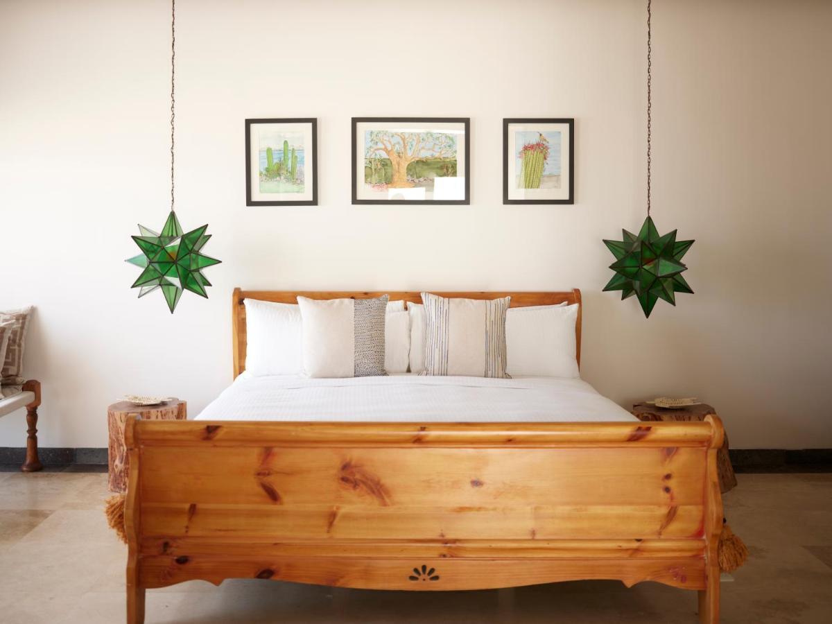 Orchid House Baja 5*