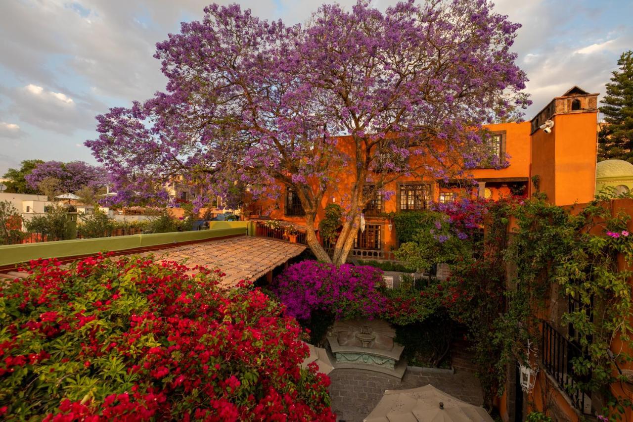 Casa Schuck Boutique San Miguel de Allende