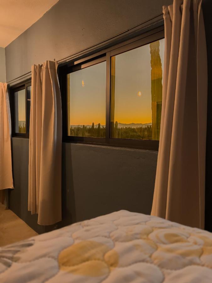 Cardon Alley #1 - 1st Floor * La Paz