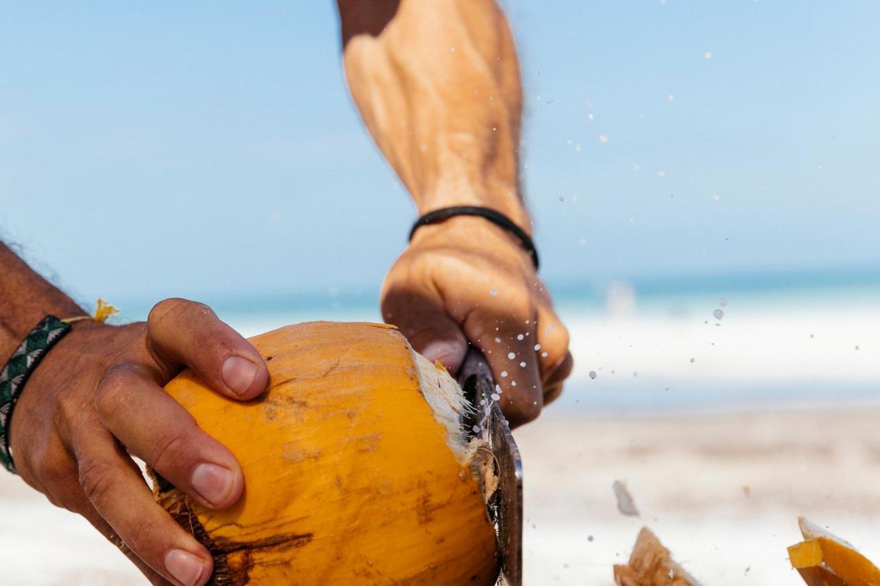 Boutique Punta Caliza - Adults Oriented 4* Isla Holbox