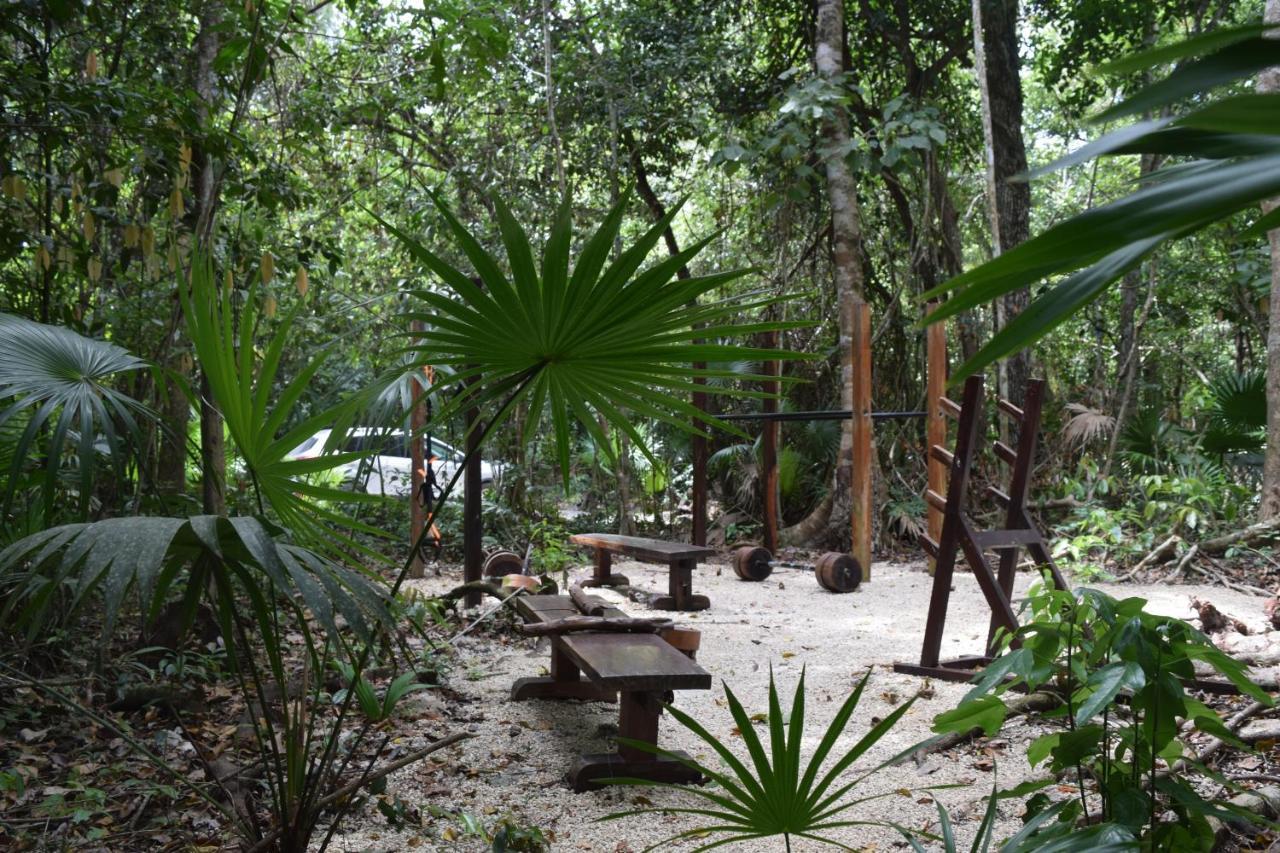Jolie Jungle Eco (adults Only) Leona Vicario