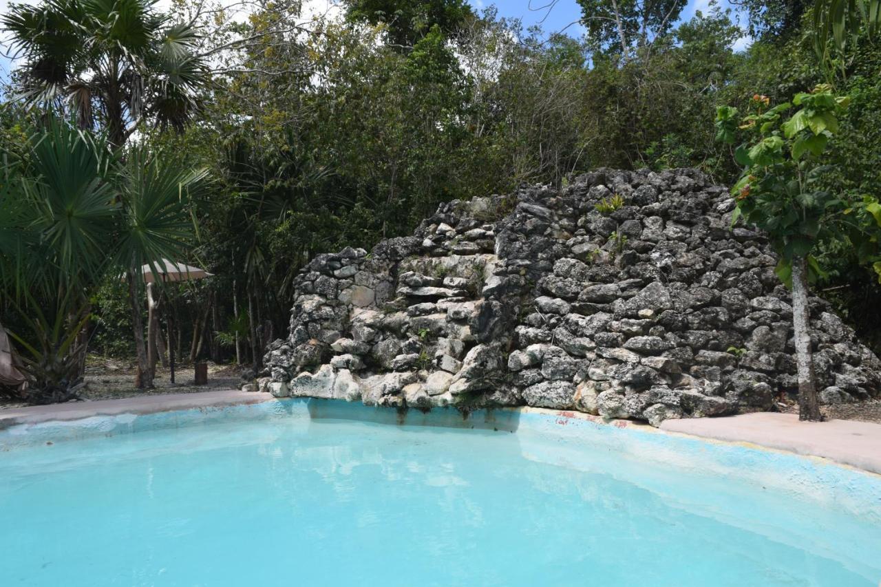 Jolie Jungle Eco (adults Only)