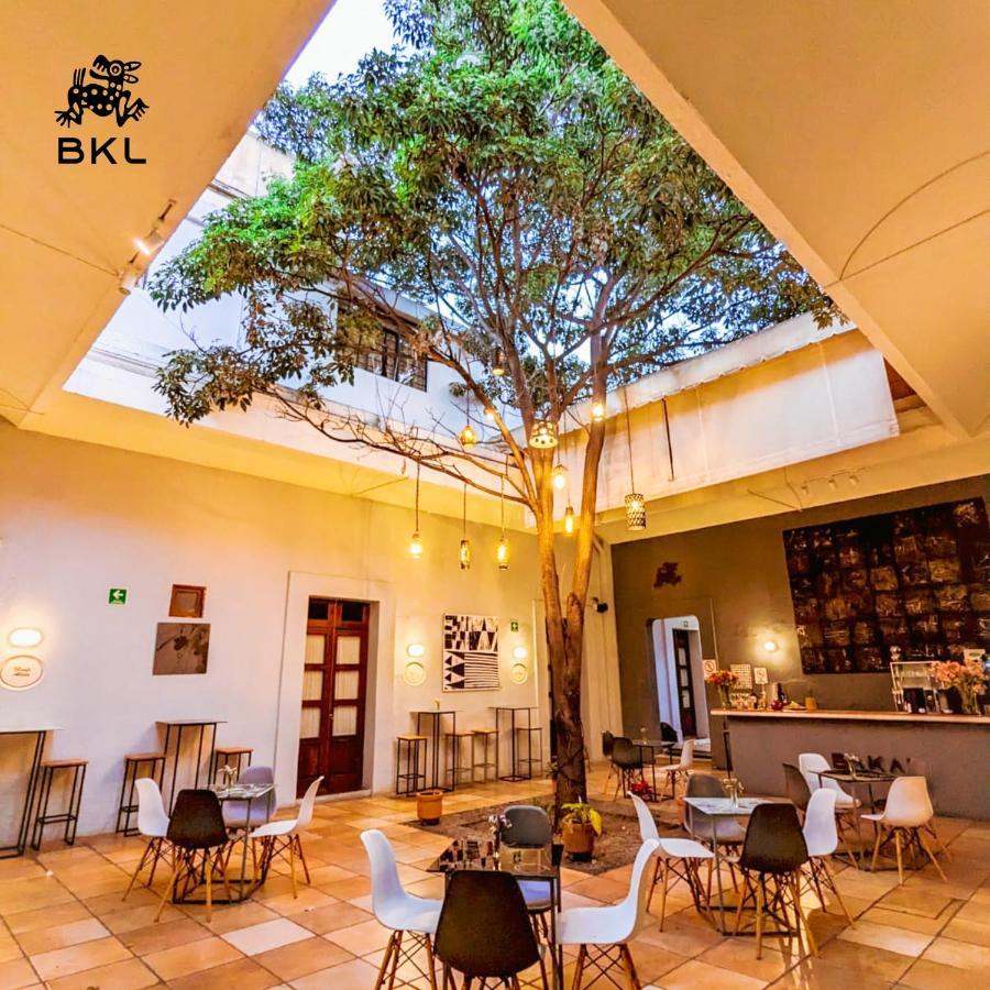 Bkl Oaxaca
