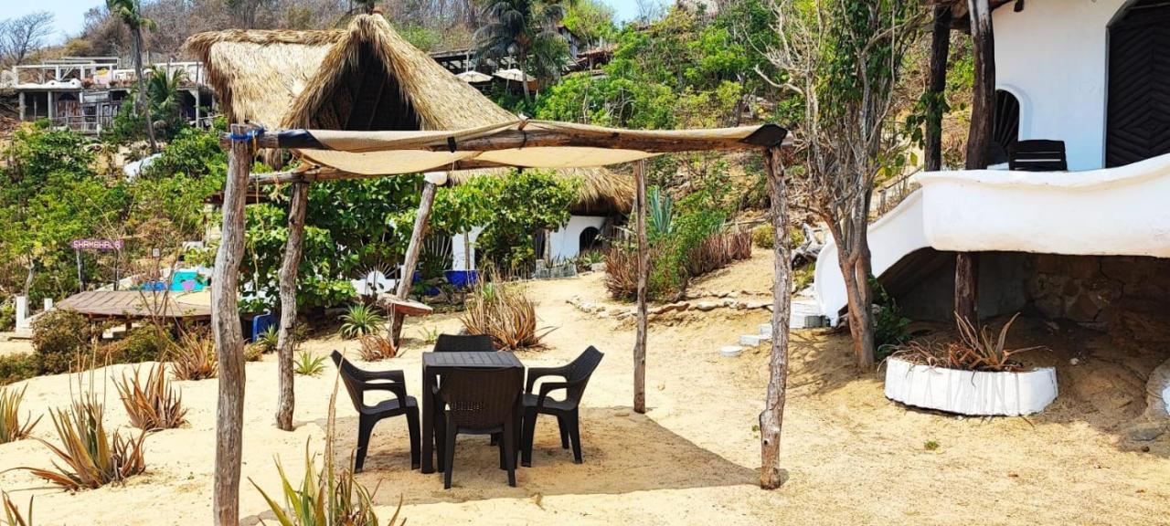 Shambhala Vision * Zipolite