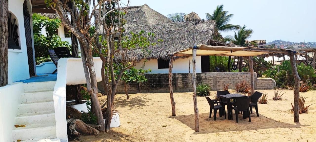 Shambhala Vision * Zipolite