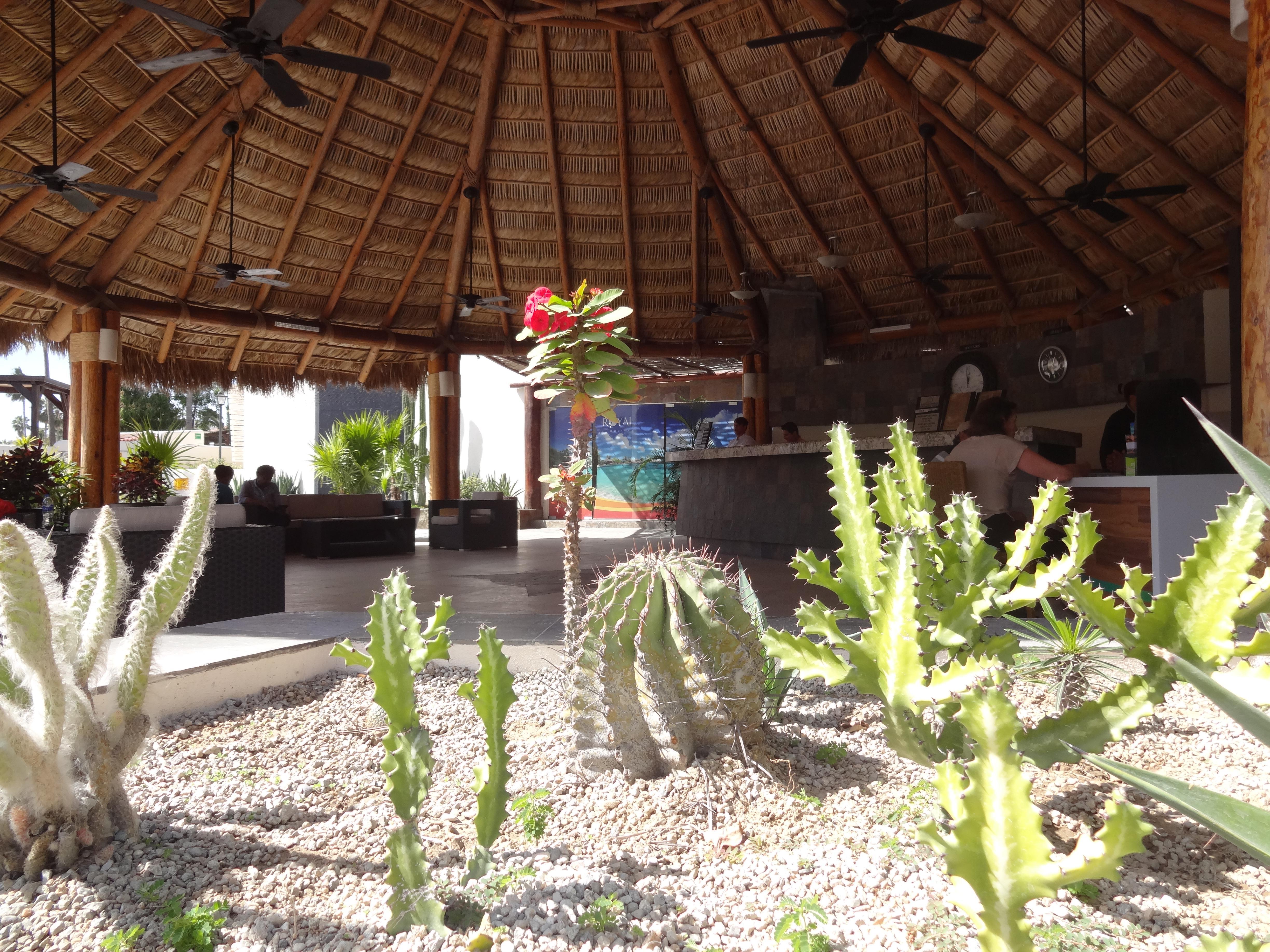 Park Royal Cabos