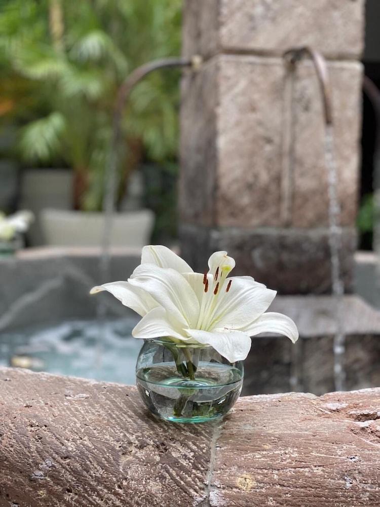 Hotel Boutique Hacienda Guadalupe 4*