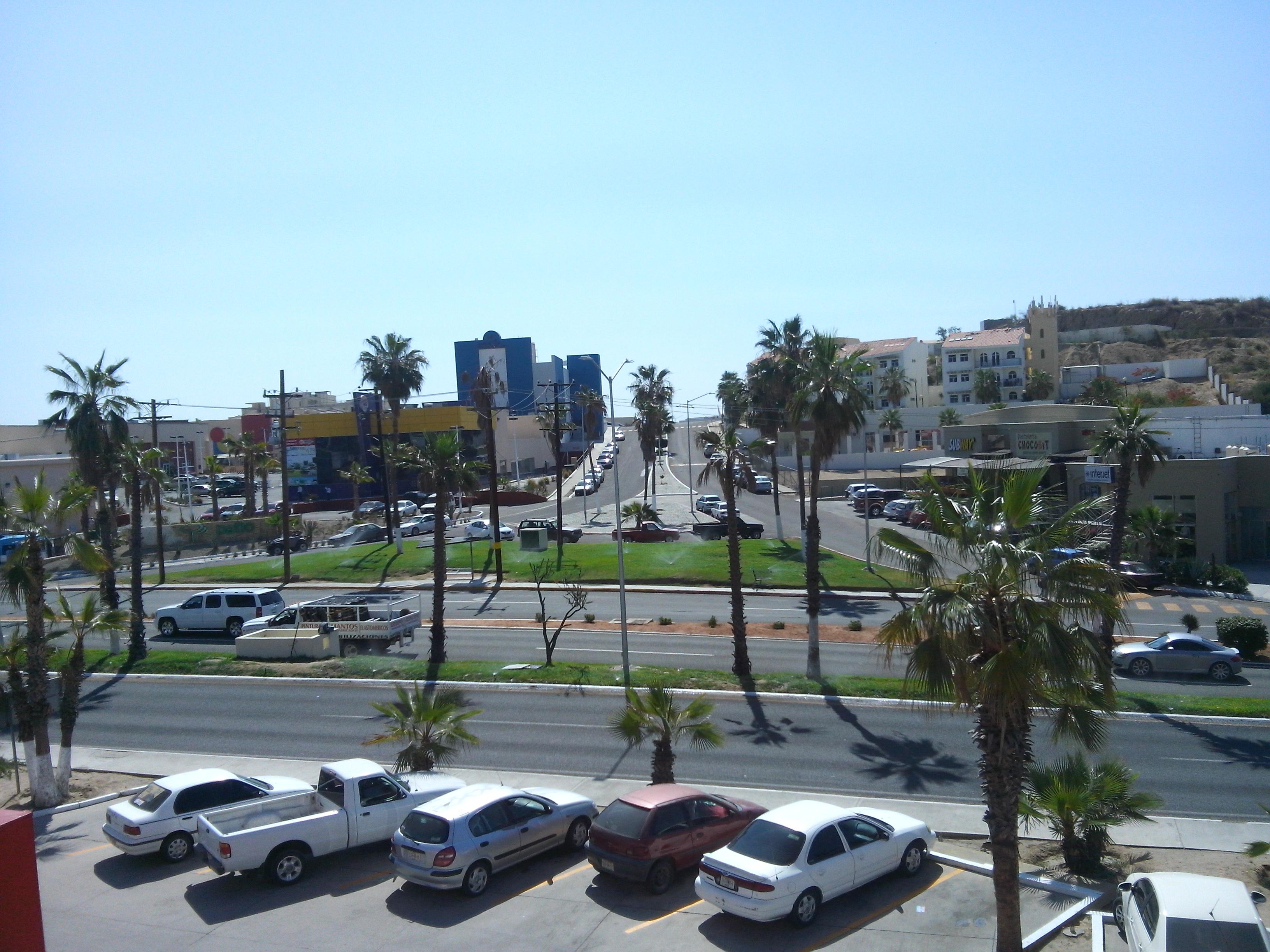 Palmas