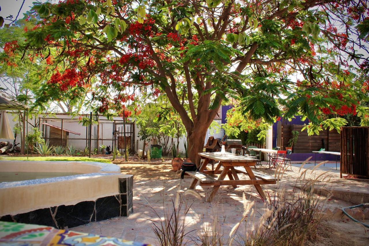 Casa Hala Loft & Luxury Lodge Leon