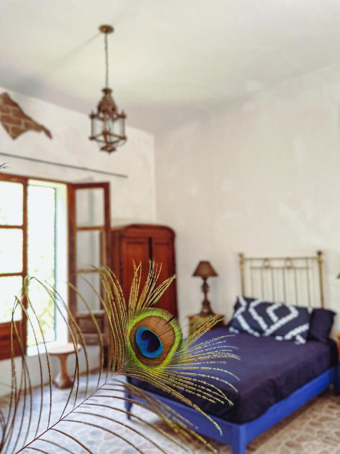Bed & Breakfast Casa Shiva - Hacienda Dolores Hidalgo