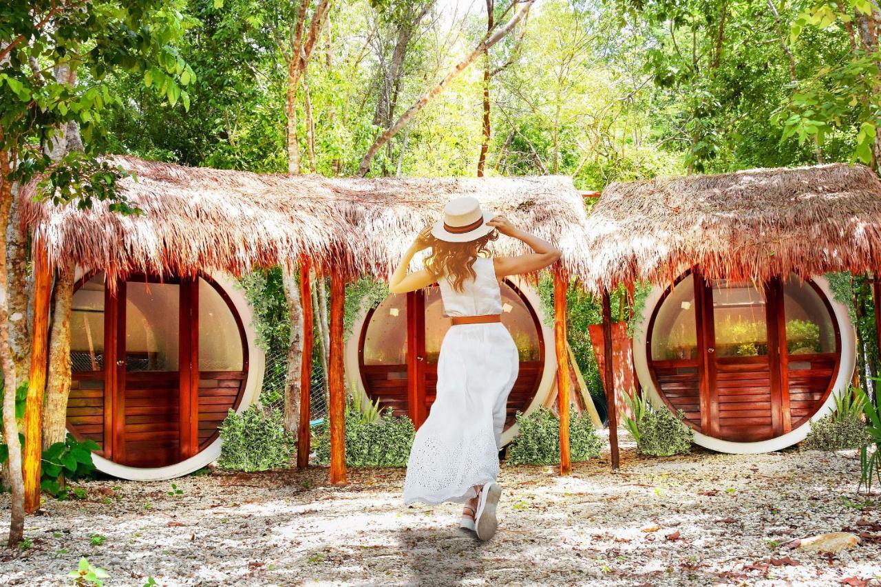 Kakao & Cenote Experience *