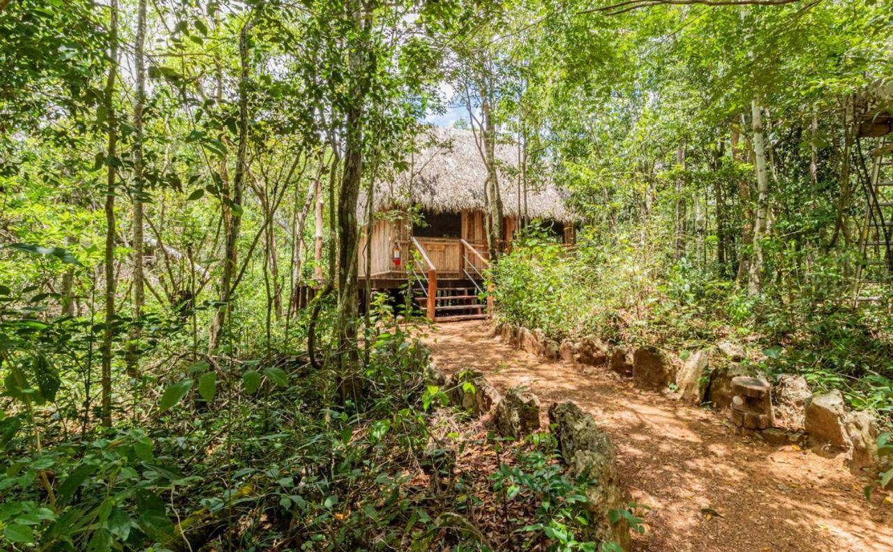 Lodge Aldea Colibri Macario Gomez