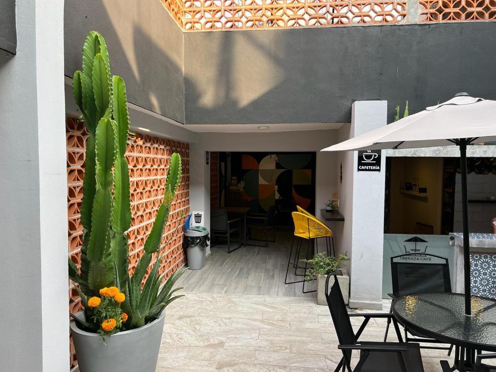 Ciclovia & Terraza Zitacuaro
